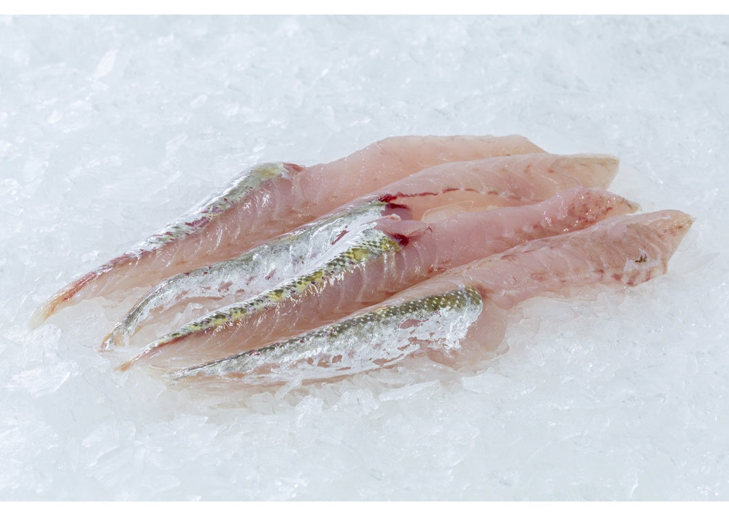 Flathead Tails